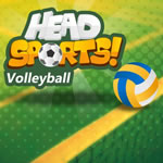 Play Head Sports Volleyball