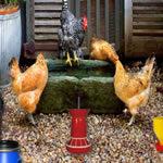 Play Poultry Farm Easter Escape